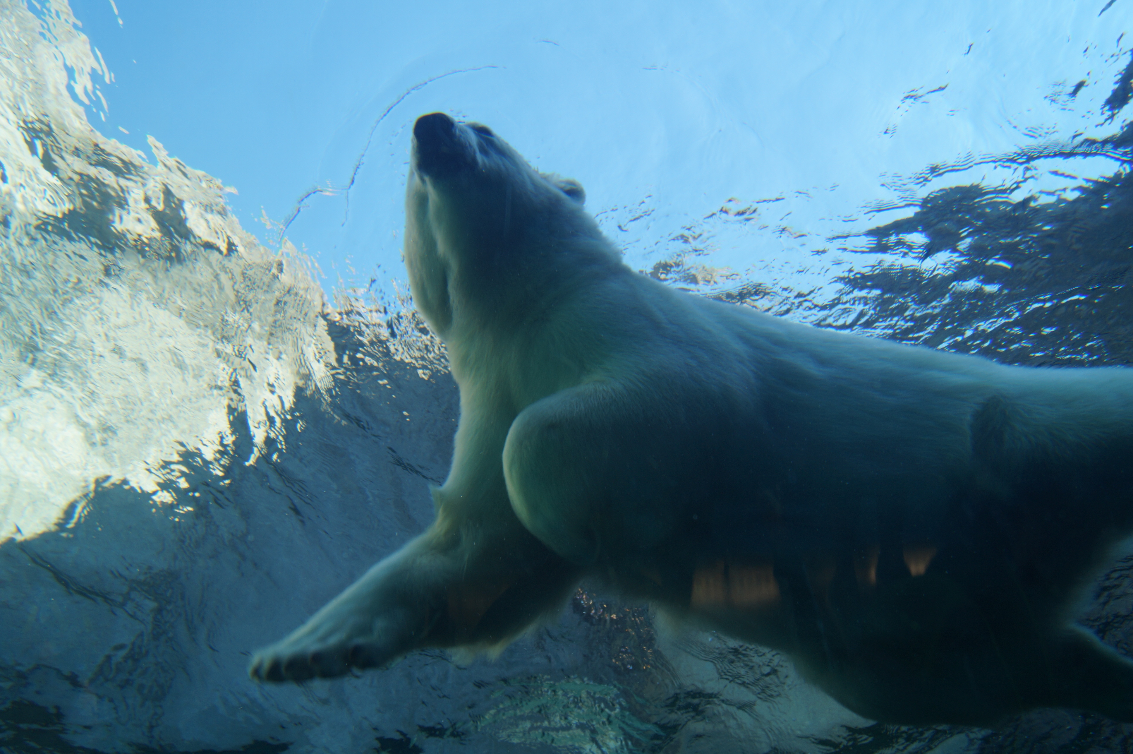 20150921aWinnipegZoo25