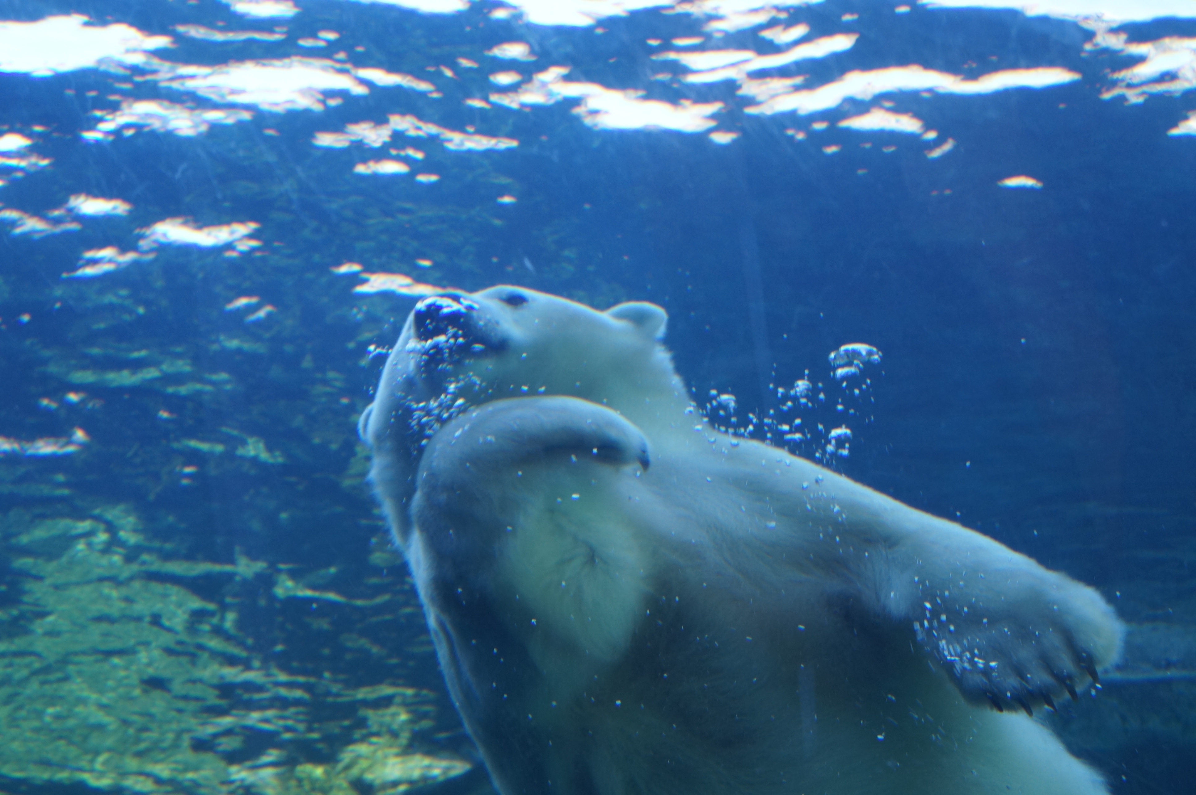 20150921aWinnipegZoo26