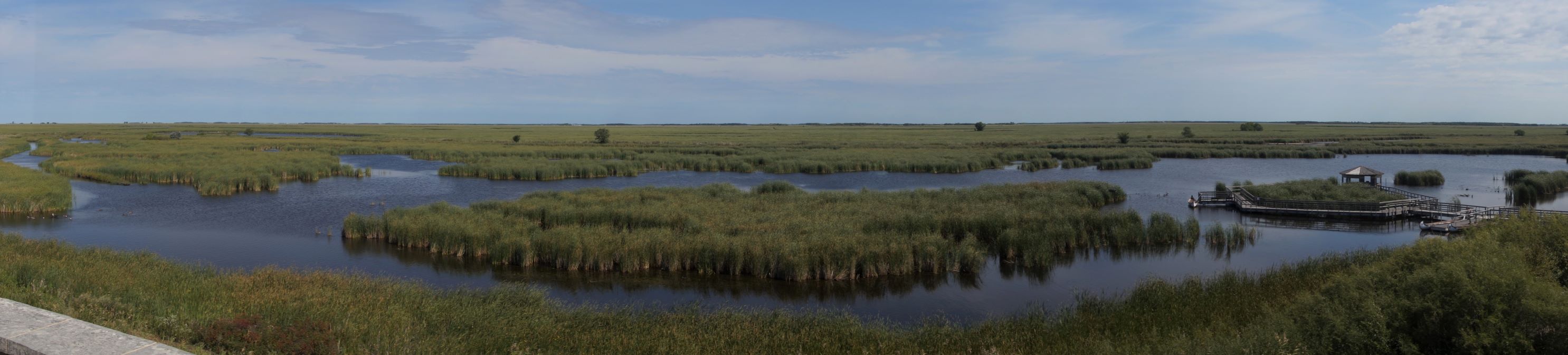 20190904a OakHammockMarsh 28