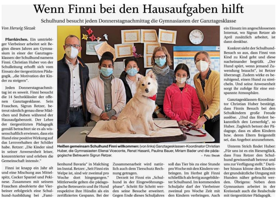 Schulhund Finni