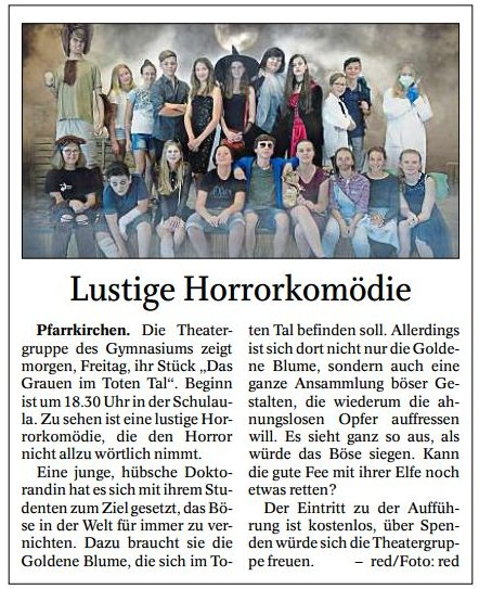 Lustige Horrorkomoedie12072