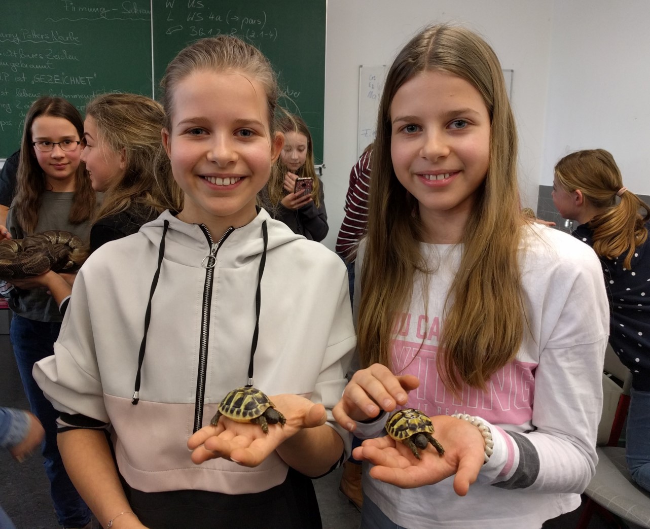 Kachelfoto Impressionen 